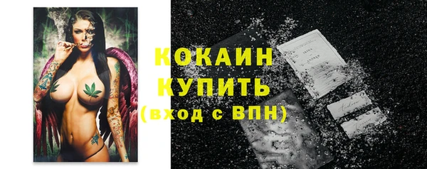 МДПВ Краснослободск