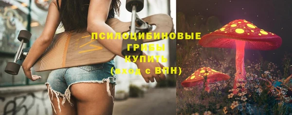 МДПВ Краснослободск
